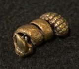 Bartperle - Klaue - Bronze