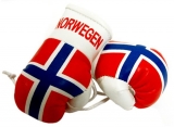Mini Boxhandschuhe - Norwegen