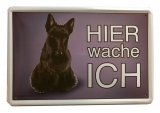 Blechschild - Hier wache ich - Scottish Terrier (167) +++EINZELSTÜCK+++