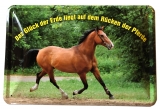 Blechschild - Das Glück der Erde liegt auf dem Rücken der Pferde - BS152 (172)